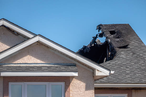 Top rated local Smoke Odor Removal specialists in Dayton, VA